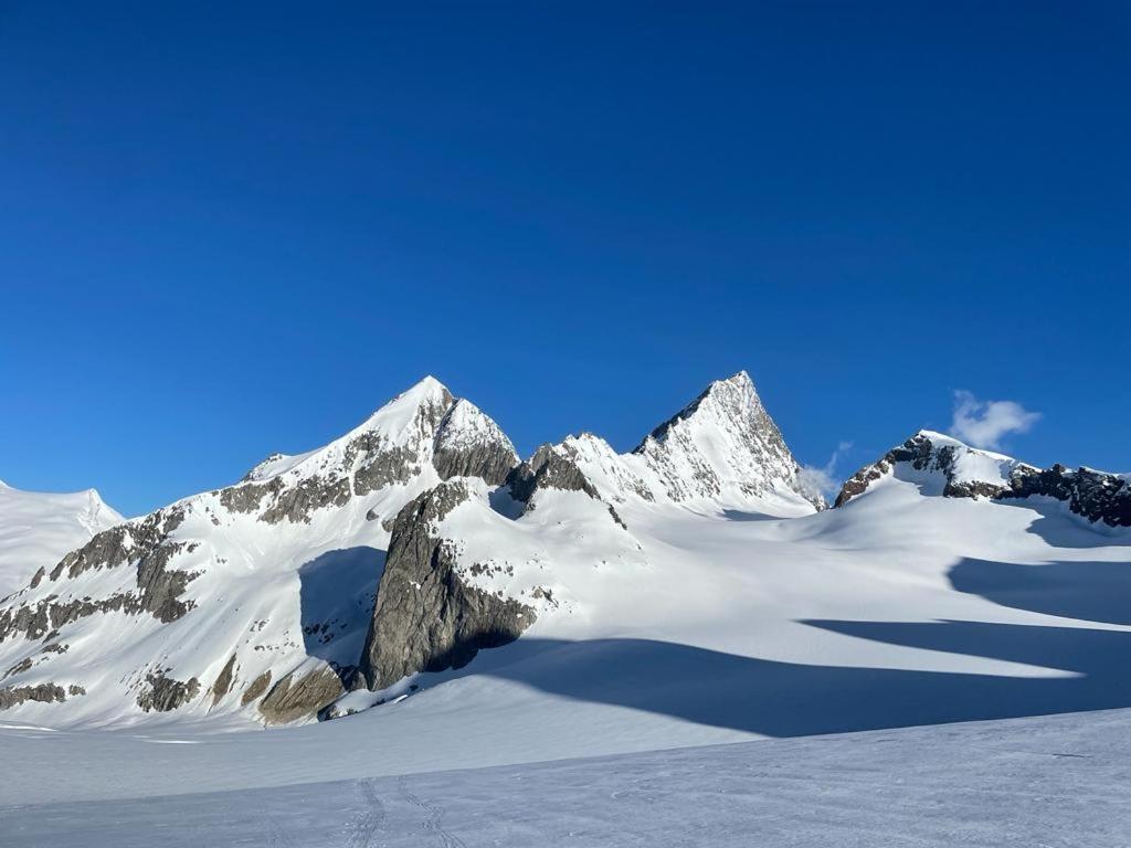 Chalet Caramelle Grindelwald Exterior foto