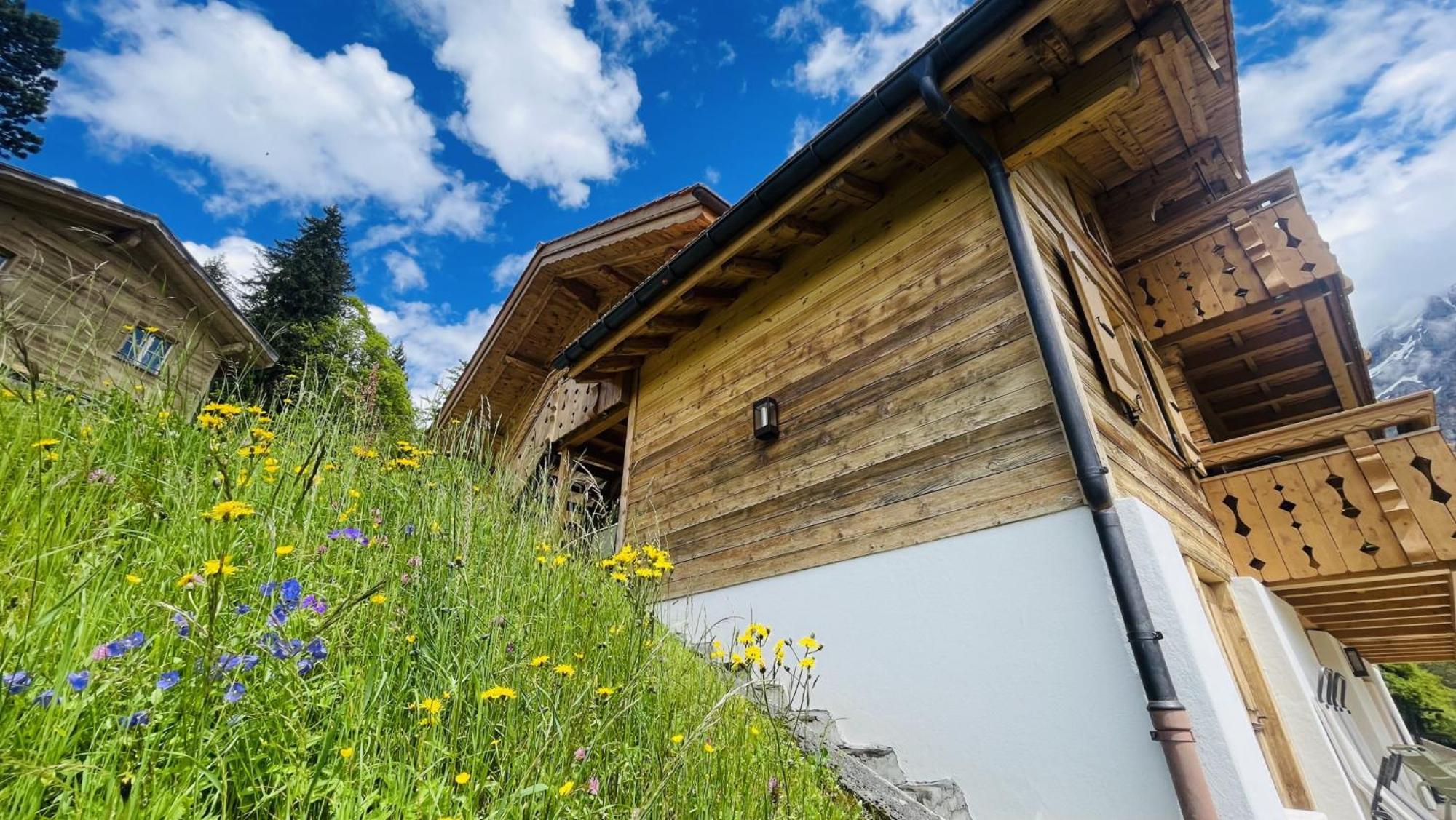 Chalet Caramelle Grindelwald Exterior foto